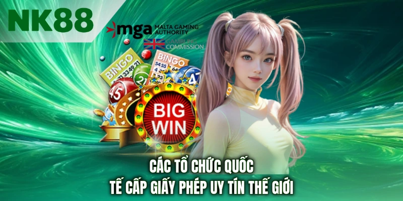 Các tổ chức quốc tế cấp giấy phép uy tín thế giới 