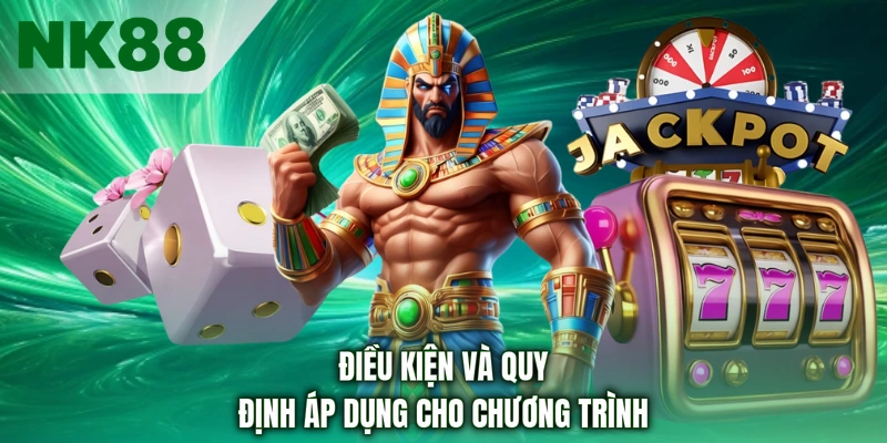 Điều kiện và quy định áp dụng cho chương trình